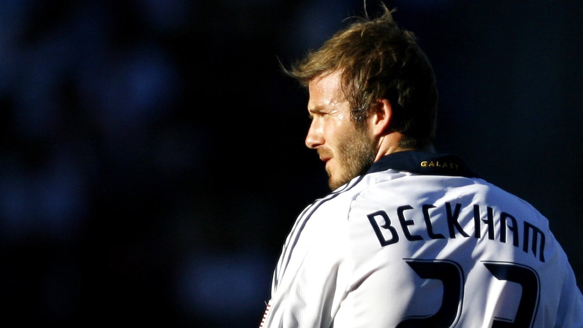 APEX英雄 青训营培养新秀成效明显，apex英雄训练营战术技能